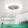 Modern Minimalist Smart Ceiling Fan with Lighting, ElectroCN
