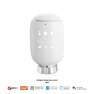 Smart Thermostatic Radiator Valve, Discount Domain