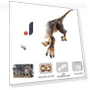 Remote Control Dinosaur Toys — Interactive Figures & Robots, JJRC