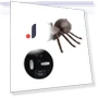 Remote Control Spider Toy — Remote Control Aircraft, Aunel