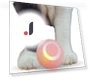Smart Rolling Ball for Cats — Balls, Refreshing Home