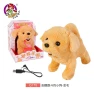 Electric Toy Dog — Robot Pet, Plastic Toys