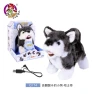 Electric Toy Dog — Robot Pet, Plastic Toys