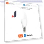E14 Candle Lamp — Smart Home Modules, Seahorse Home