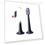 Electric Toothbrush Heads — Electric Toothbrush Heads, Xiaomi