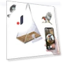 Smart Bird Feeder with Camera — Outdoor & Wildlife Cameras, mei hua
