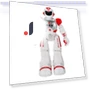 Gesture Recognition Robot with Remote Control — Interactive Figures & Robots, Oran Sky