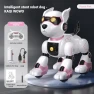 Robot Dog with Remote Control — Robot Pet, AE Selection