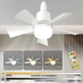 Ceiling Fan with LED Lighting, Aloisia