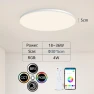 Smart Ceiling Light, Rainbow Rain