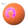 LED Light Up Jump Ball for Pets, Pet park