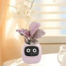 Smart Flower Pot with Robot Navigator, HappyToy