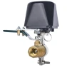 Smart Water Valve with Wi-Fi Timer, TOMTOP JMS