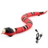Interactive Cat Toy — Interactive Animal Companions, Zonew