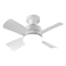 Ceiling Fan Light with Remote Control, Comfort Homeware