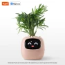 Smart Pot Ivy, Cozy Cottage-Relax