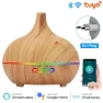 WiFi Air Humidifier with Essential Oil Diffuser — Diffusers, Super Dream Home