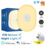 Smart Motion Sensor Wi-Fi Night Light, Lntelligent Living Hall