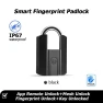 Smart Lock with Fingerprint — Smart Lock, MYWAYLIFE SECURITY TECHNOLOGY