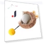 Rechargeable Electric Cat Toy Ball — Cat Playthings, wuipuen