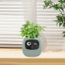 Smart Flower Pot with Robot Navigator, HappyToy