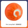 Smart Rolling Ball for Pets — Interactive Animal Companions, The best future