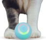 Smart Rolling Ball for Cats — Balls, Refreshing Home