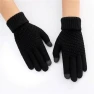 Winter Touchscreen Gloves, ping Day