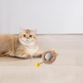 Automatic Rolling Ball Toy with Light — Automatic Cat Toy, Closet of Beauty