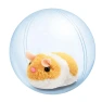 Smart Rolling Ball for Cats, Be Free