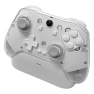 Bluetooth-Compatible Wireless Controller, AE Selection