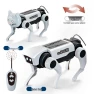 Solar Powered Four Legged Robot Dog, CreativeCorner