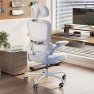 Thumbnail Ergonomic Office Chair with Adjustable Headrest and Lumbar Support — Ergonomic Chair, TRALT