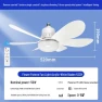 Ceiling Fan with LED Light, HomeHarmony