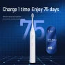 Smart Sonic Electric Toothbrush — Electric Toothbrush, Roman