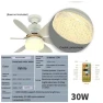Smart Ceiling Fan with Remote Control and LED Light, The Romantics
