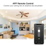 Thumbnail Smart Ceiling Fan Switch — Smart Switch, TREATLIFE