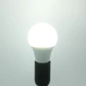 DC 12V LED Light Bulb, T Outdoor Lighting