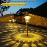 Waterproof Solar Lawn Lights, Chose One