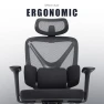 Thumbnail High Back Mesh Ergonomic Desk Chair — Smart Chairs, SweetGate