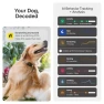 Thumbnail Smart Dog Tracker Collar with Health Monitoring and Escape Alerts — Dog GPS Tracker, Fi