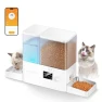 Thumbnail Automatic Cat Feeder and Gravity Water Dispenser — Automatic Feeders, ROJECO