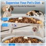 Thumbnail Automatic Pet Feeder with Two HD Cameras — Automatic Pet Feeder, Frienhund