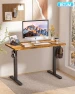 Thumbnail Electric Adjustable Standing Desk — Standing Desk, BIZUM
