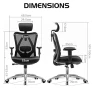 Thumbnail Ergonomic Office Chair — Ergonomic Chair, SIHOO