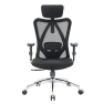 Thumbnail Ergonomic Office Chair — Ergonomic Chair, SIHOO