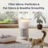 Pet Air Purifier