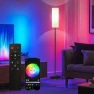 Modern LED Floor Lamp with Remote Control, Qaubauyt