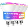 BR30 4 bulbs 1100 lumens 12W