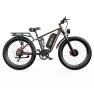 Electric Bike, DUOTTS